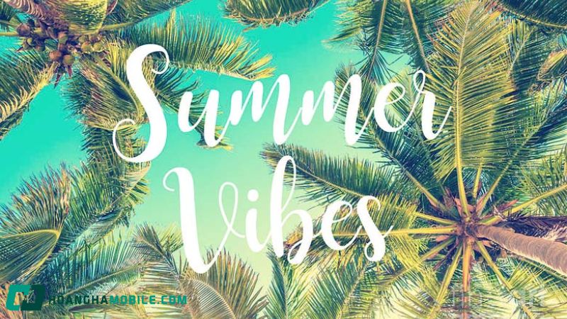Vì sao vibe thành từ cửa miệng của gen Z