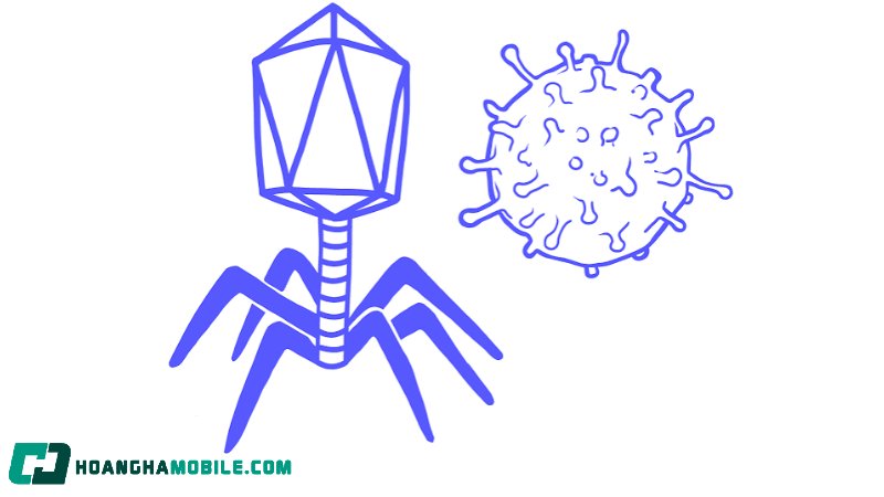 virus-3