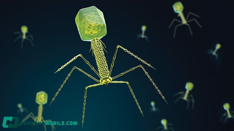 virus-4