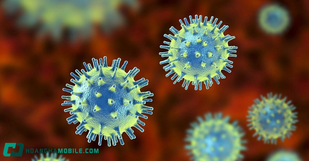 virus