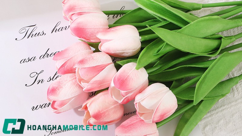 y-nghia-hoa-tulip-2