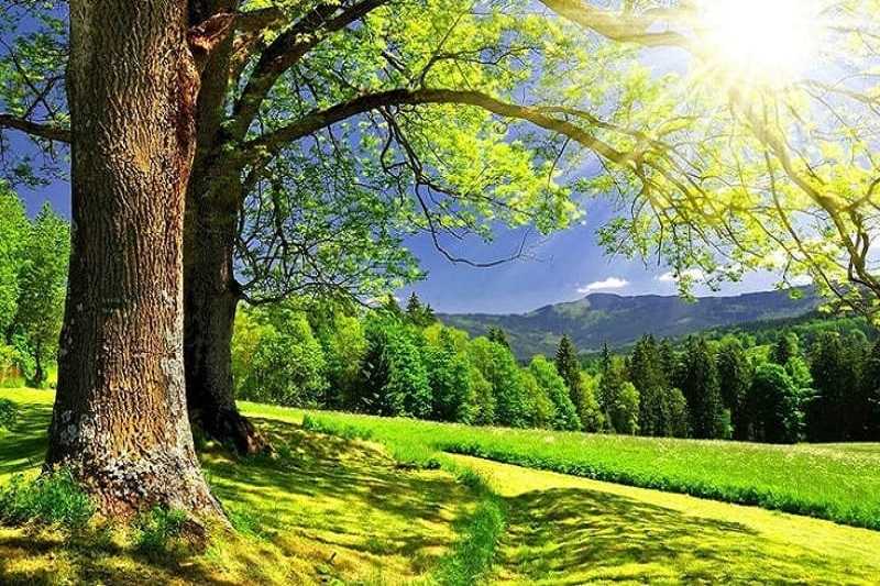 Background về chủ đề Thiên nhiên cuốn mắt - hình 11