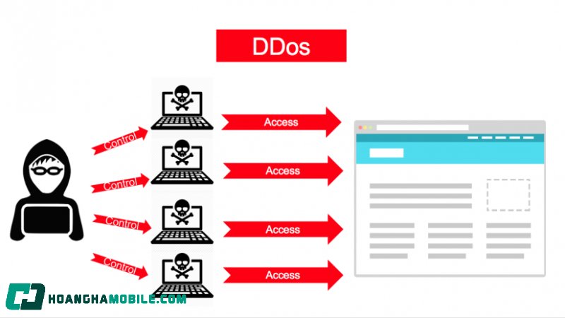 ddos-la-gi-3