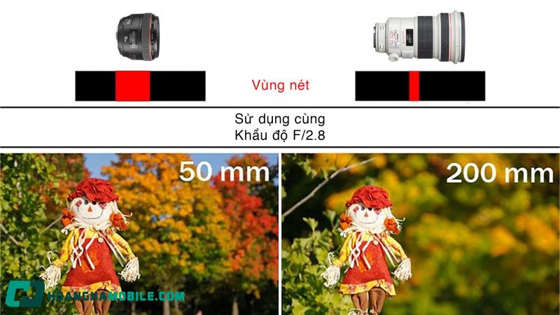 do-sau-truong-anh-la-gi-4