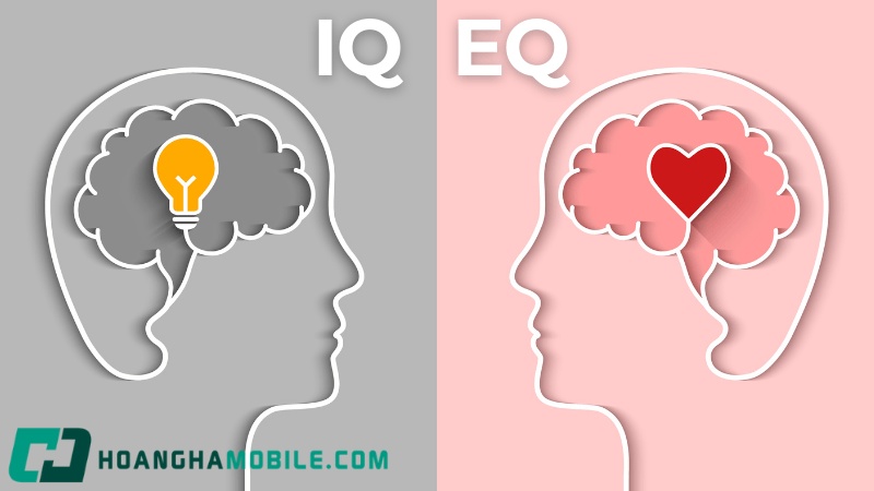 eq-la-gi-2