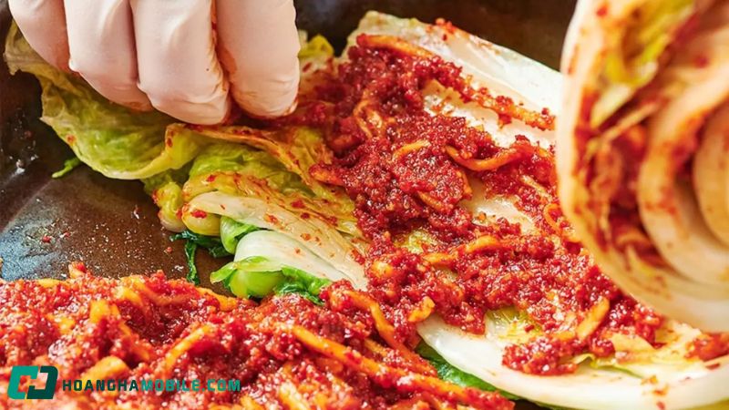 kimchi-la-gi-1