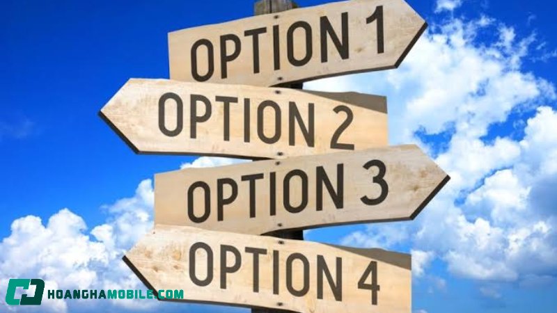 option-la-gi-3