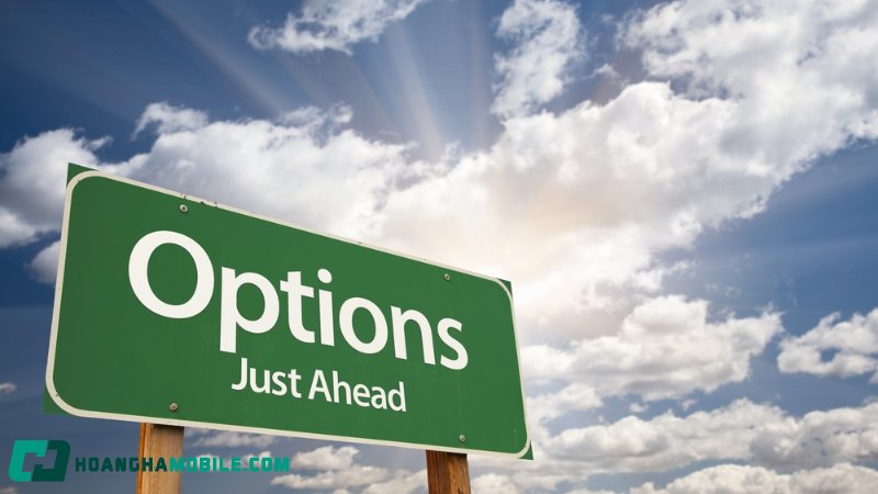 option-la-gi-4