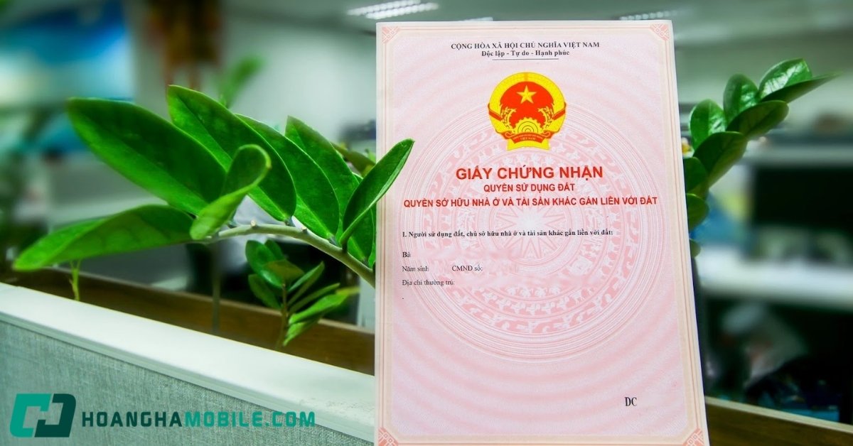 so-hong-la-gi