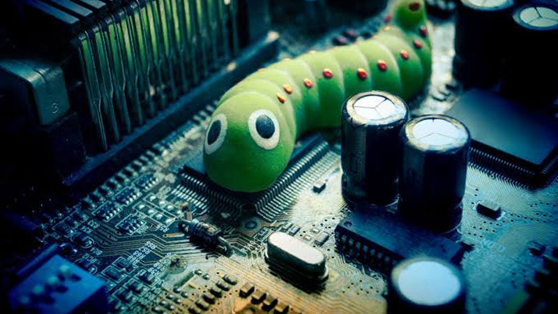 worm-la-gi-4