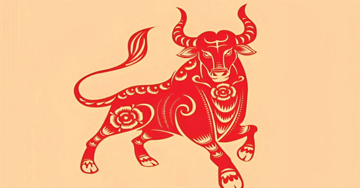 1973-tuoi-con-gi