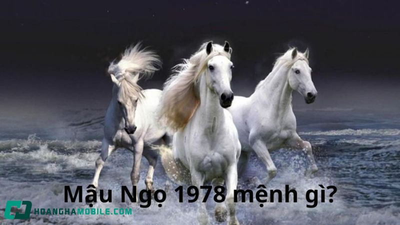 1978-tuoi-gi-menh-gi-1
