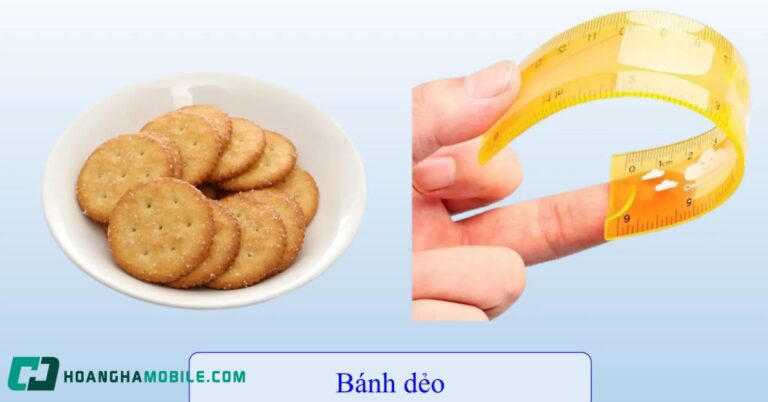 dap-an-tao-biet-tuot