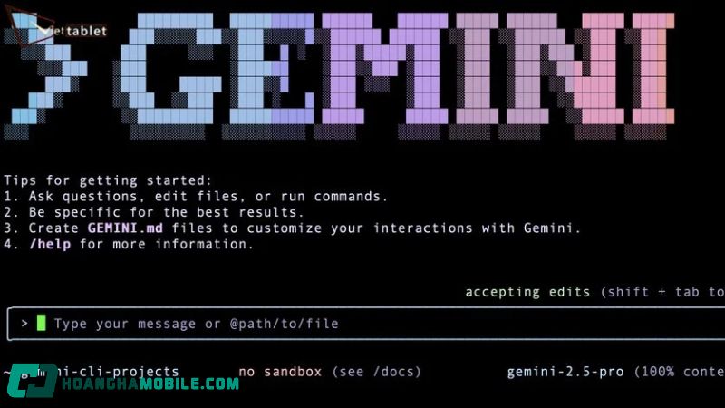 gemini-cli-3
