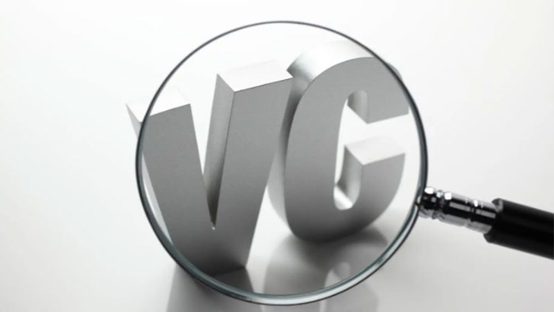vc-la-gi-5