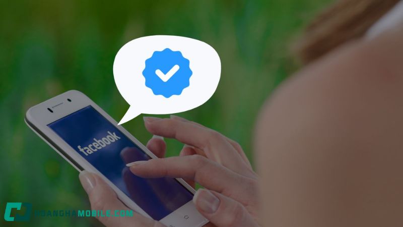 verify là gì và cách phát âm