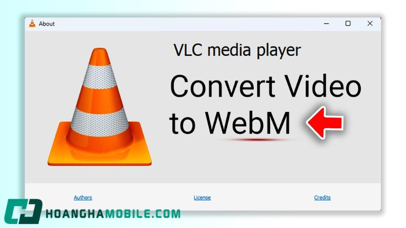 webm-to-mp4-2