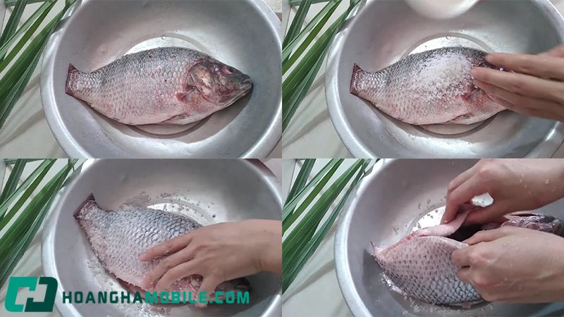 ca-ro-phi-kho-2