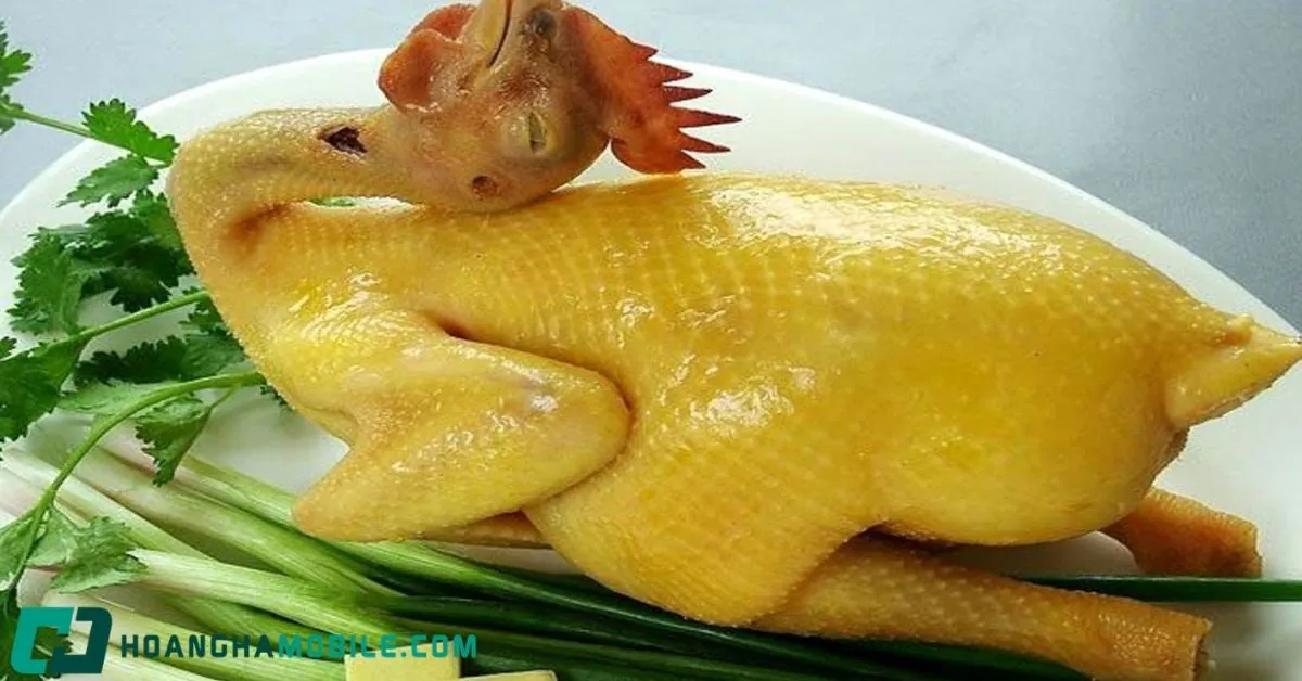 hap-ga-bang-noi-hap-dien