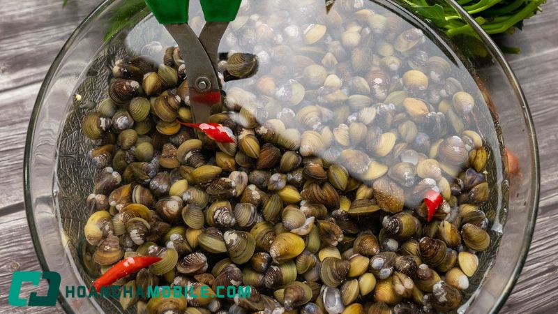 hến ngâm nhả cát trong thau