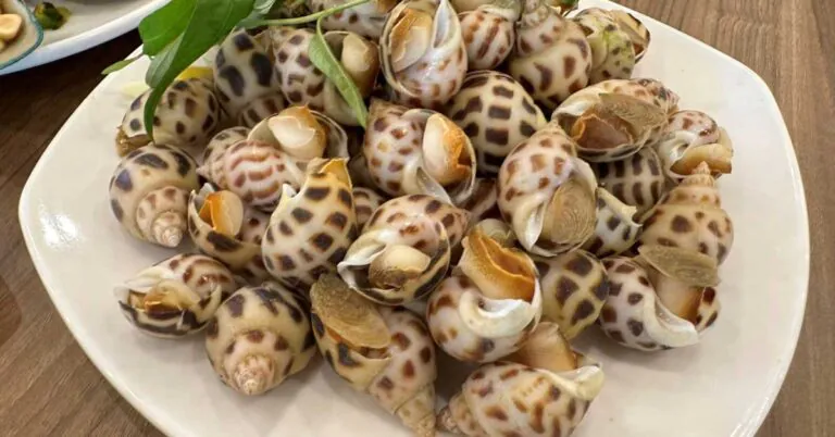 oc-huong-nuong-noi-chien-khong-dau