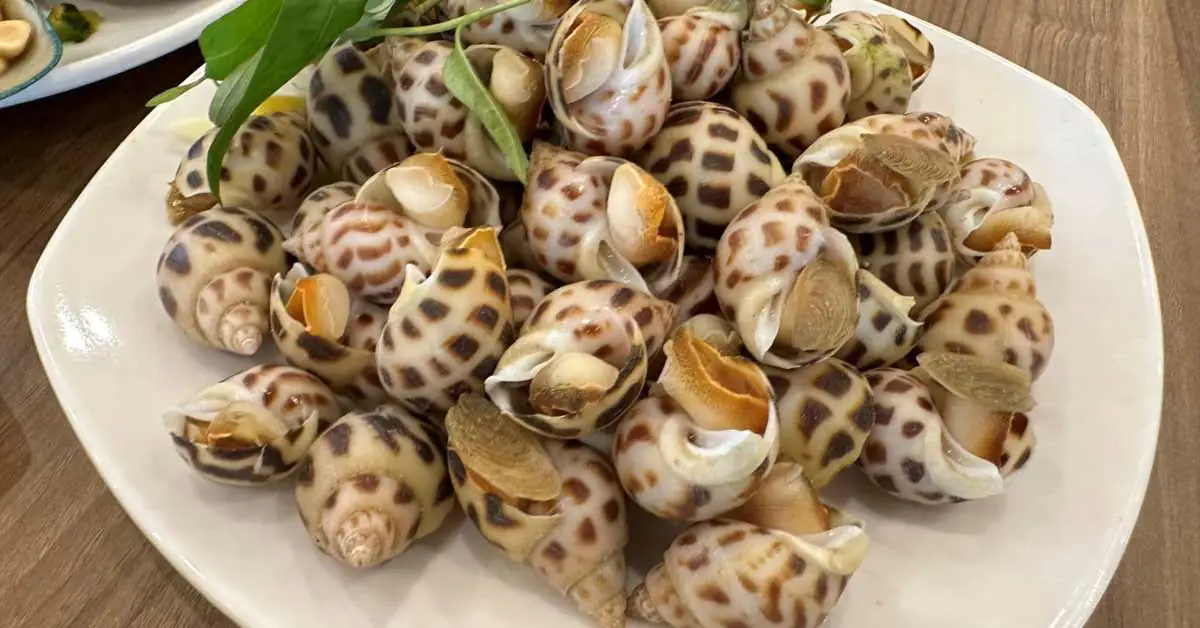 oc-huong-nuong-noi-chien-khong-dau